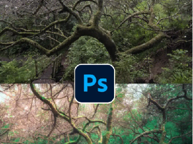 TDn老师PS高级后期设计进阶课