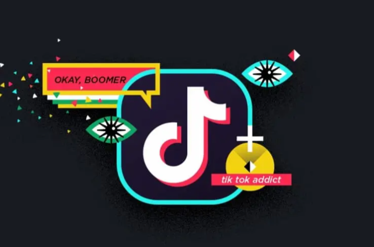 TikTokDownloader-免费开源TikTok抖音数据采集工具 无水印