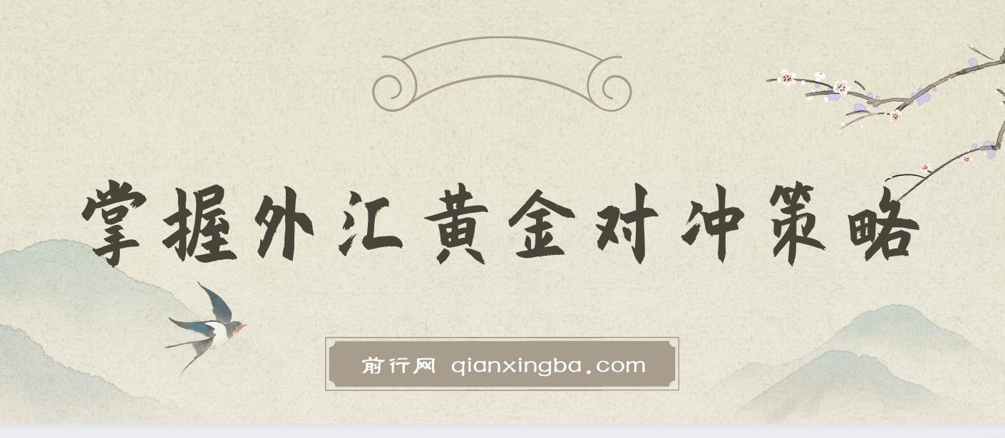 掌握外汇黄金对冲策略，日赚 800 – 2000，小众高回报创业机会，助你实