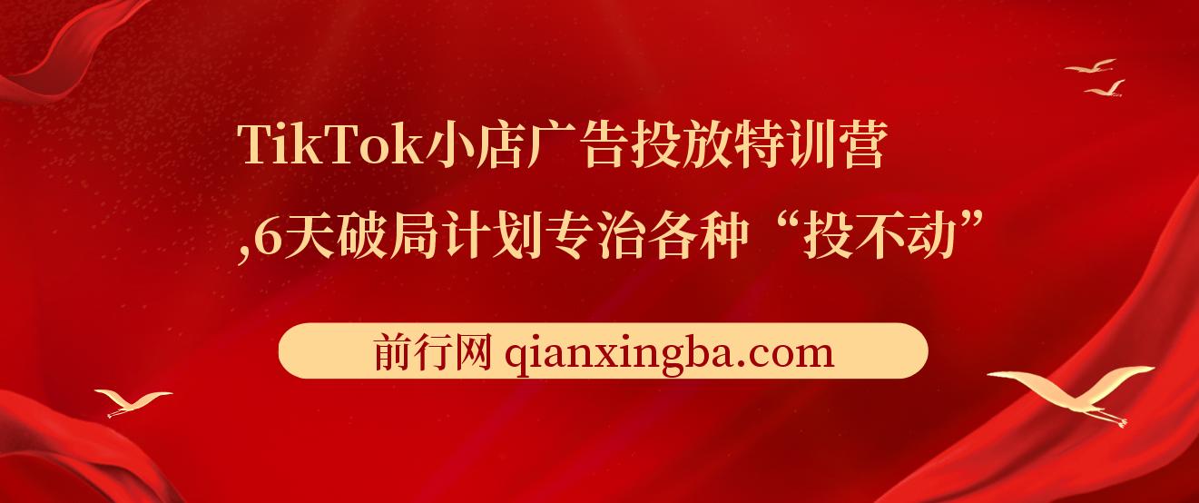 【精】TikTok小店广告投放特训营，6天破局计划专治各种“投不动”，教你经过月销百万验证的实战干货