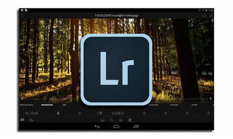 Adobe Lightroom Classic 12.3 SP