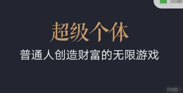 超级个体：2024-2025翻盘指南，普通人创造财富的无限游戏 图片