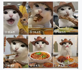 抖音可爱猫咪生活日记视频，涨粉快流量稳+多平台分发