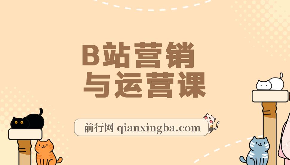 B站营销与运营课：带你玩转B站,从建号到爆款打造,从小白到百万UP主-10节课 图片