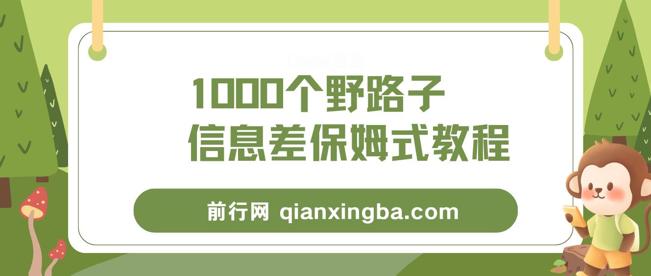 1000个野路子信息差保姆式教程,单日变现3000+的玩法解密 图片