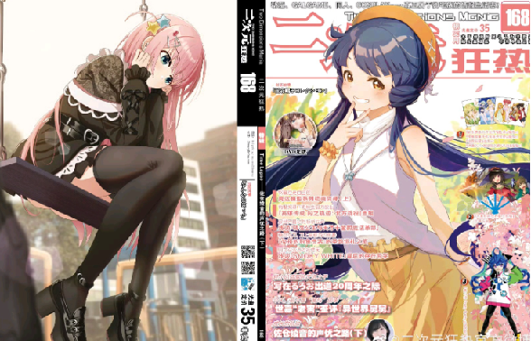 动漫期刊：《二次元狂热》《动感新时代》《绝对领域》合集下载