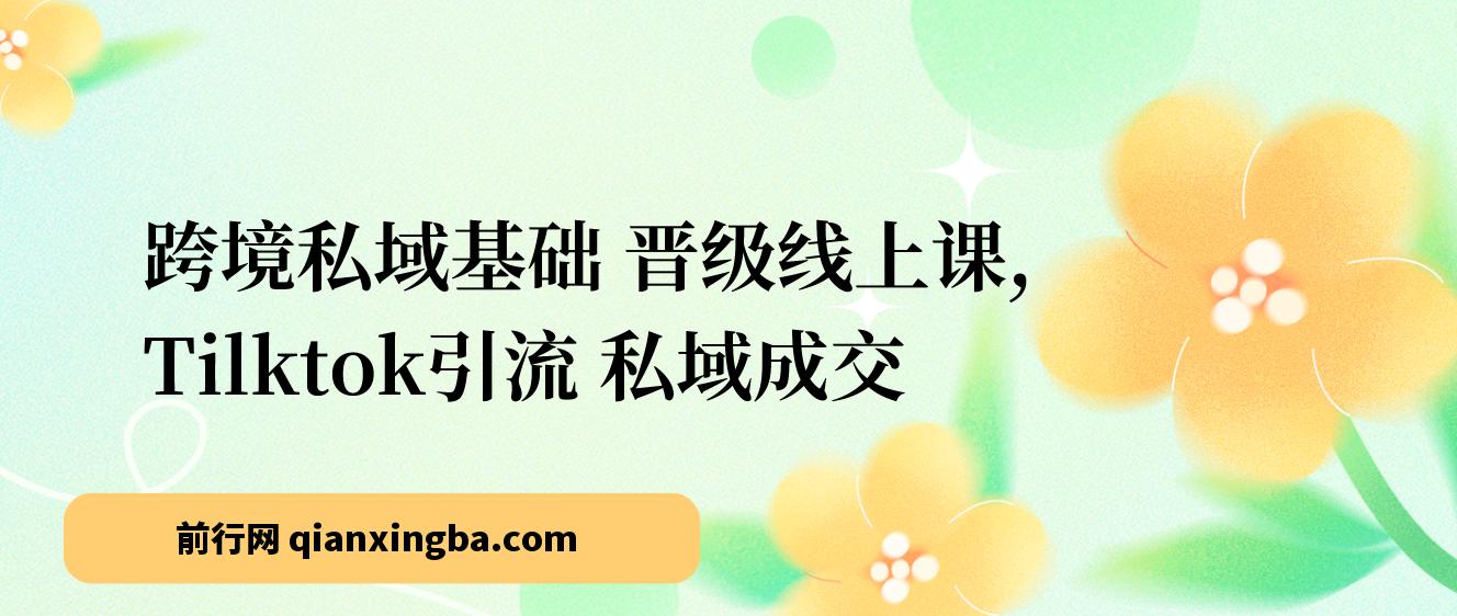 【精】跨境私域基础+晋级线上课，Tilktok引流+私域成交