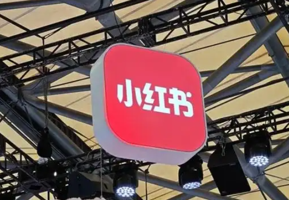 小红书虚拟电商14天变现训练营，虚拟产品，2025年普通人在小红书最后的搞钱机会