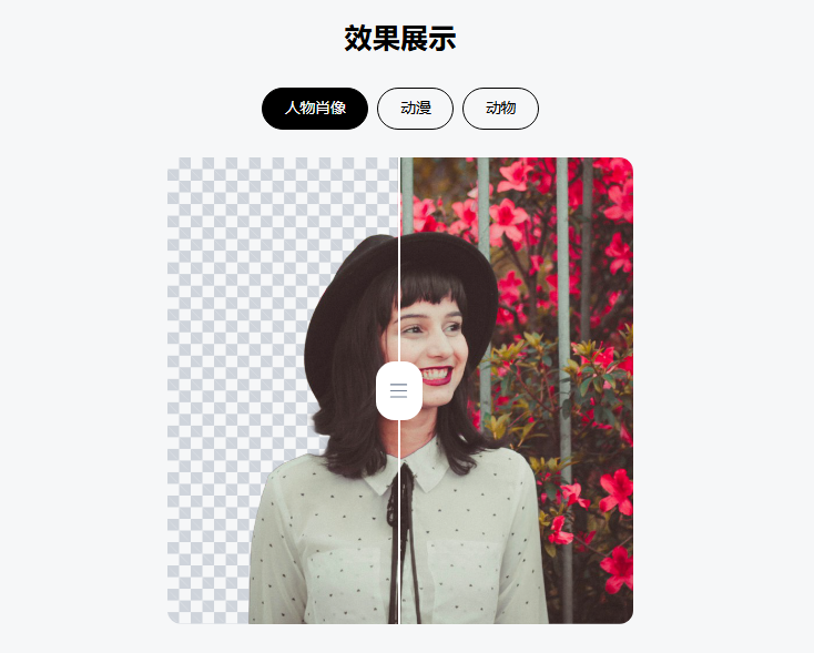 Remove Background-在线AI图片背景去除工具 图片