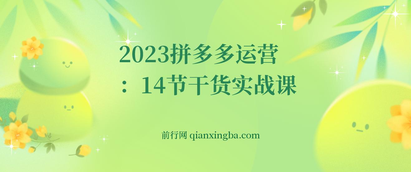 2023拼多多运营：14节干货实战课