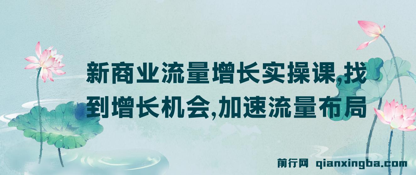 新商业流量增长实操课，找到增长机会，加速流量布局