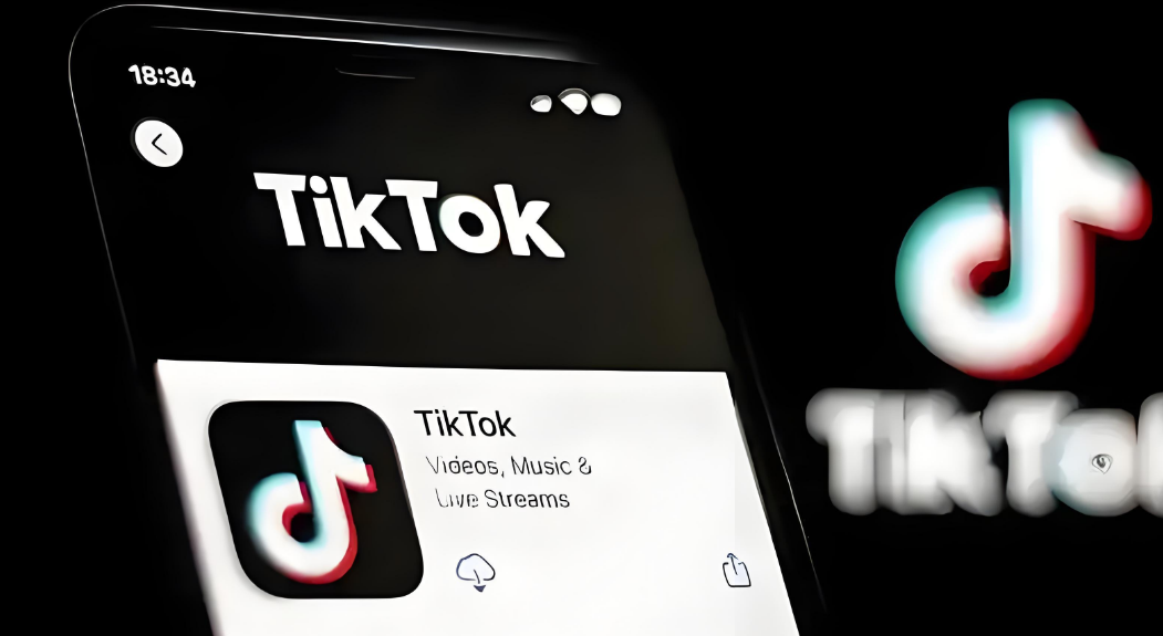 TikTok跨境小店运营全攻略，帮助你独立运营TK跨境小店的能力，实现销量增长 图片