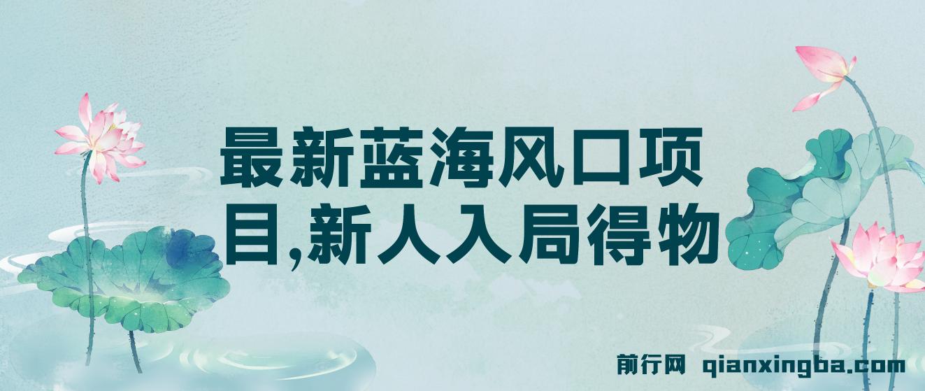 最新蓝海风口项目，新人入局得物，每天两小时，单账号一个月变现破万 图片