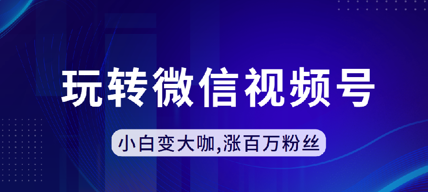 玩转微信视频号,小白变大咖,涨百万粉丝 图片