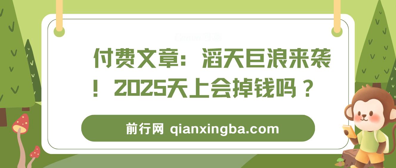 付费文章：滔天巨浪来袭！2025天上会掉钱吗？