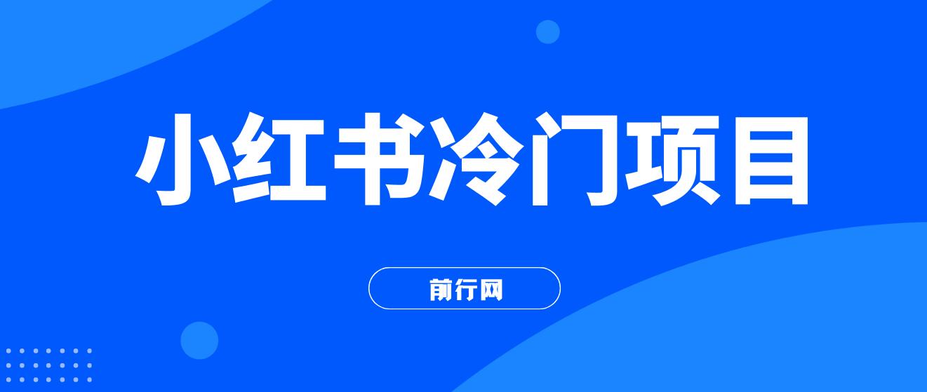 小红书冷门项目，3分钟一个原创作品，软件生成文字动画视频，轻松日入500+ 图片