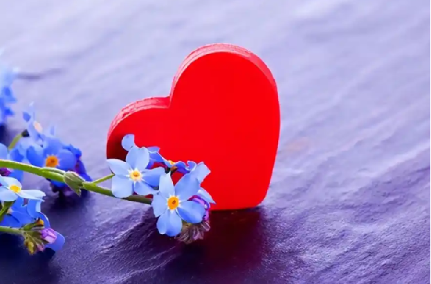 有道精品课《恋爱心理学》，科学解读亲密关系