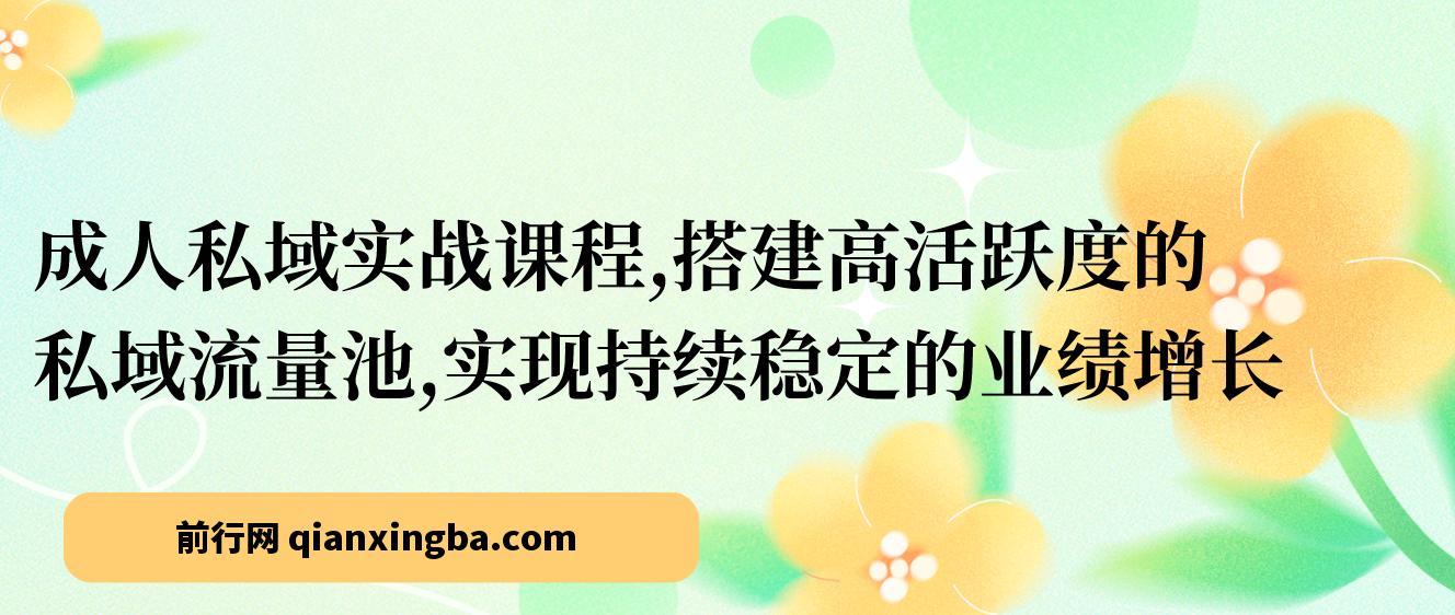 【精】成人私域实战课程，搭建高活跃度的私域流量池，实现持续稳定的业绩增长
