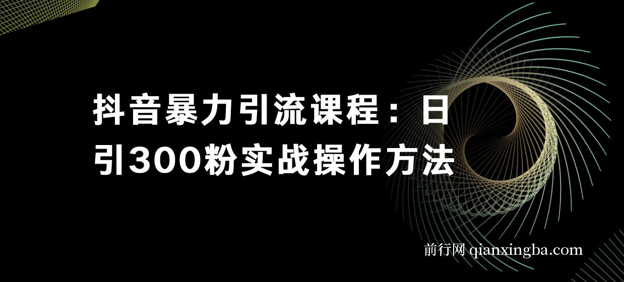 抖音暴力引流课程：日引300粉实战操作方法 图片